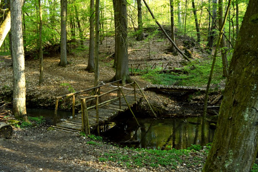 Der Kneippkurort Buckow
